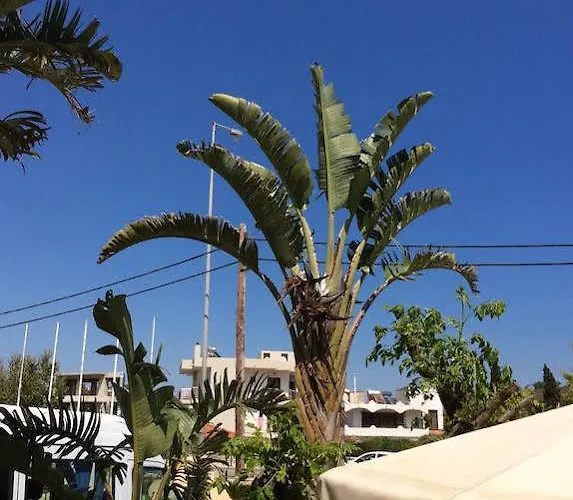 Mon Repos Apart-hotel 2*